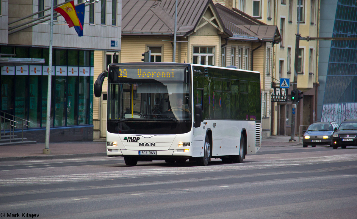 Tallinn, MAN A78 Lion's City LE EL293 № 603