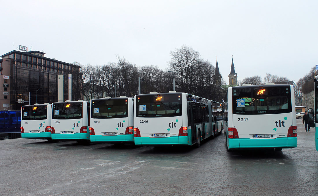 Tallinn — MAN busside III partii linnaliinide tarbeks (normaal- ja liigendbussid) 	