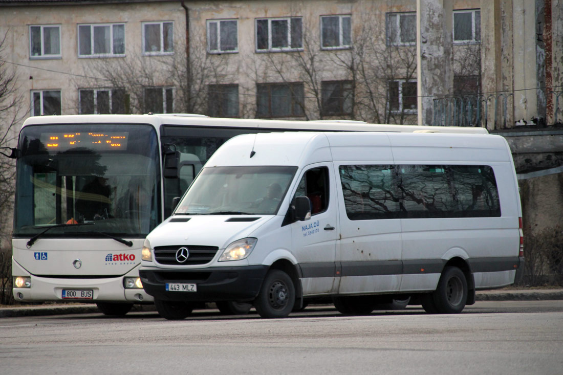 Kohtla-Järve, Mercedes-Benz Sprinter 515CDI № 443 MLZ