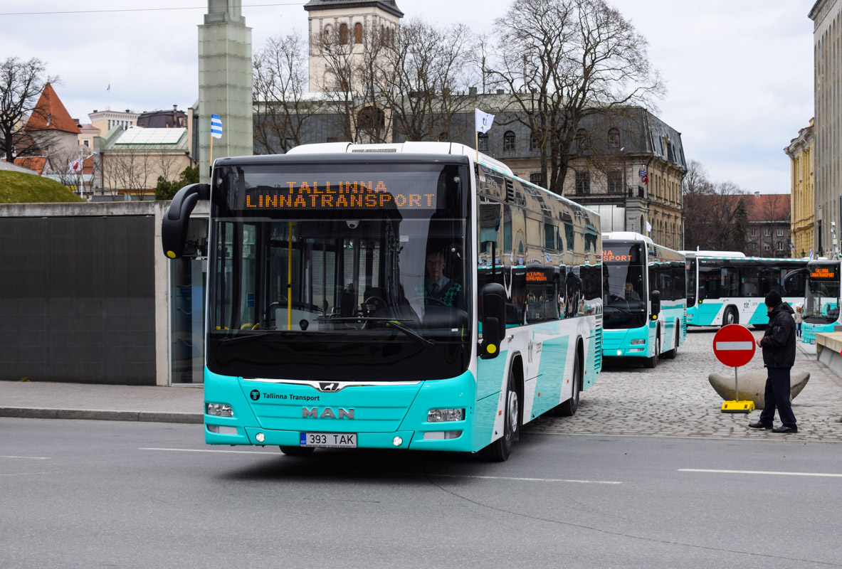 Tallinn, MAN A78 Lion's City LE EL293 № 3393
Tallinn — MAN busside V partii linnaliinide tarbeks (normaal- ja liigendbussid) 