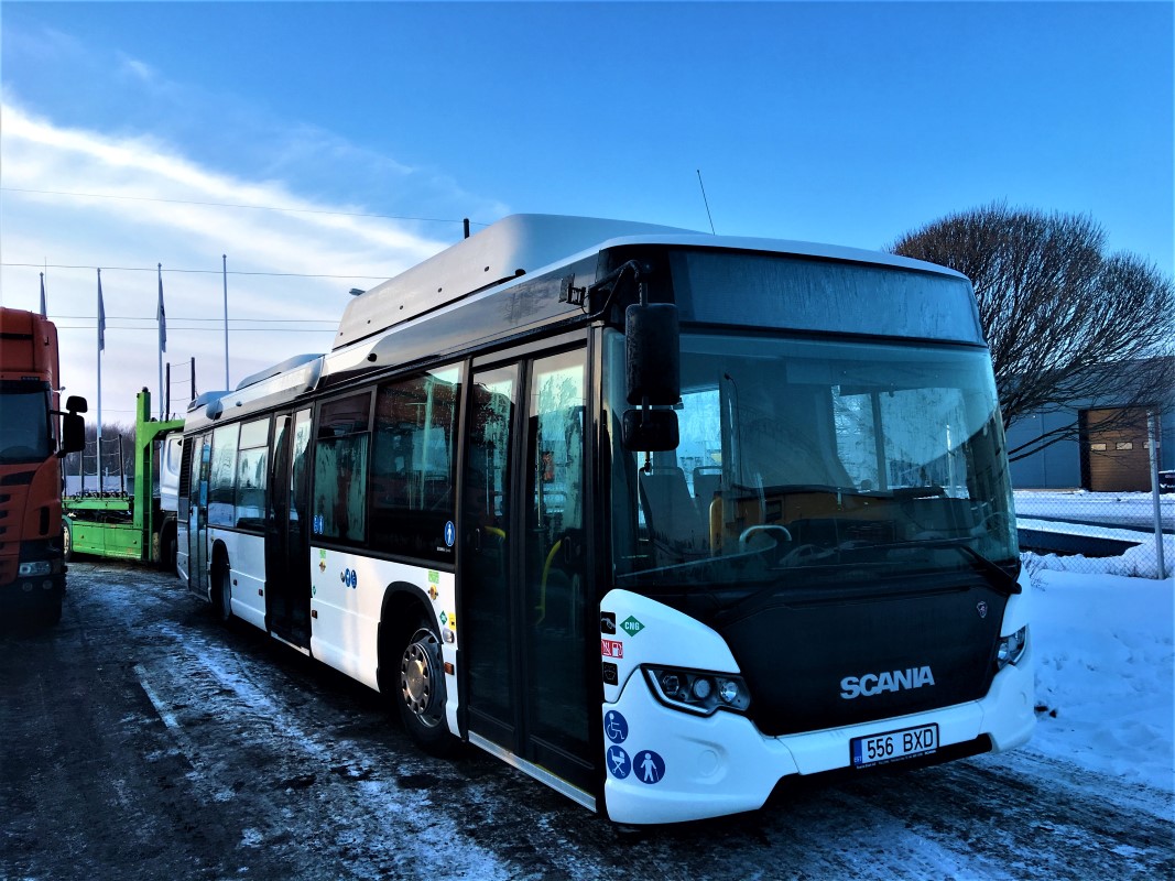 Pärnu, Scania Citywide LF CNG № 556 BXD