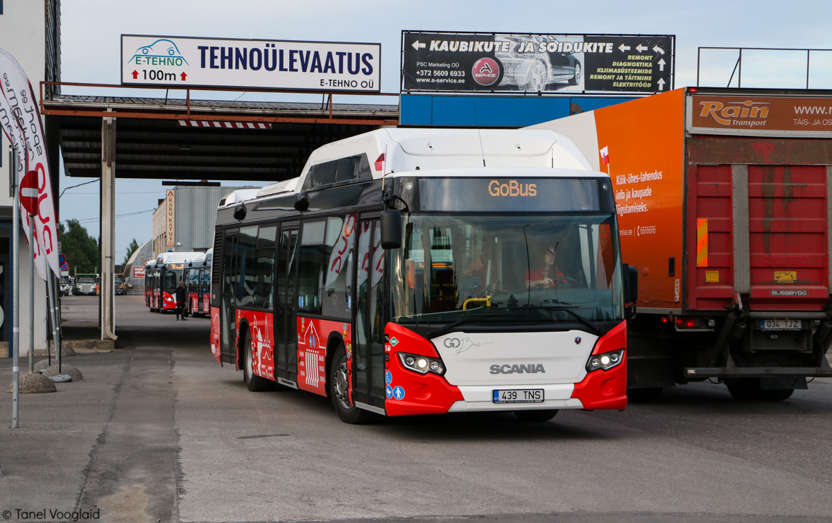 Tartu, Scania Citywide LF CNG № 439
Tartu — Linnaliinide gaasibussid