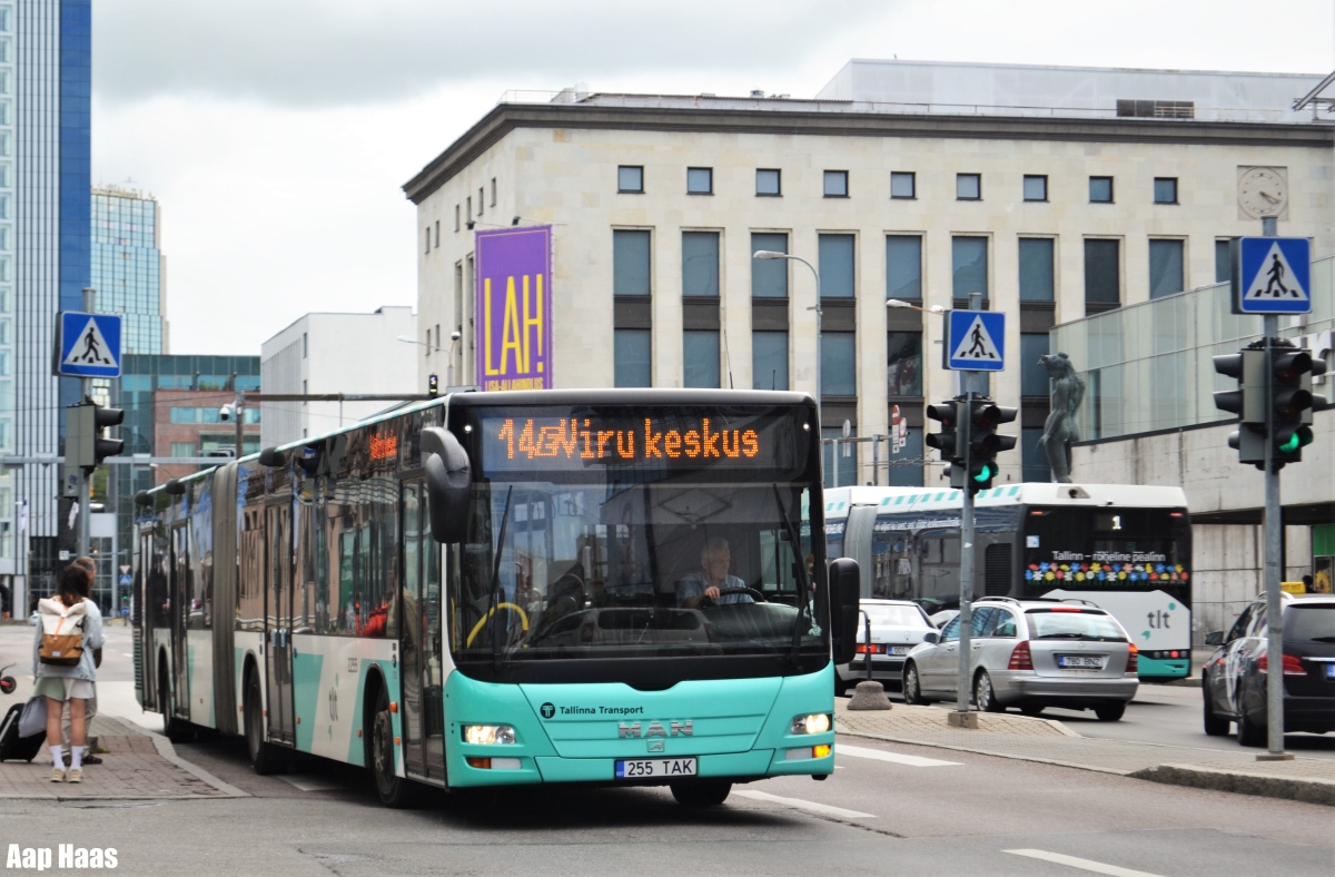 Tallinn, MAN A40 Lion's City GL NG323 № 2255